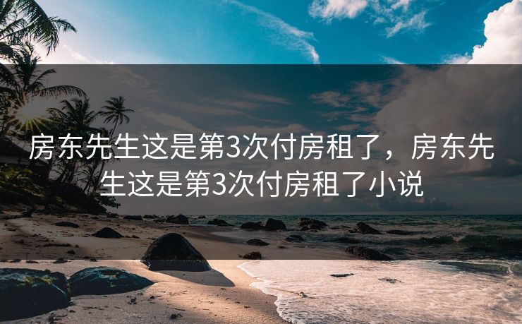 房东先生这是第3次付房租了，房东先生这是第3次付房租了小说
