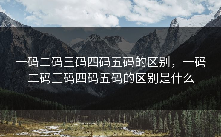 一码二码三码四码五码的区别，一码二码三码四码五码的区别是什么